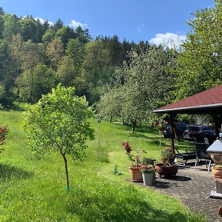 Отель Haus Sonnenwalde - Familie Ruhe Rohrbach  Экстерьер фото