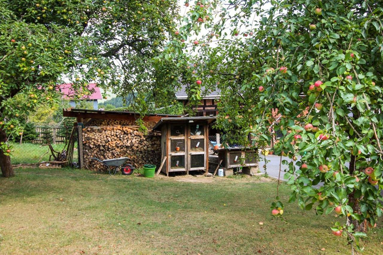 Отель Haus Sonnenwalde - Familie Ruhe Rohrbach  Экстерьер фото